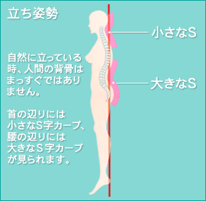 S字カーブ
