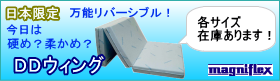 DDウィング在庫あります!