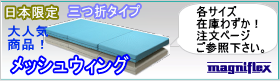 メッシュウィング在庫あります!