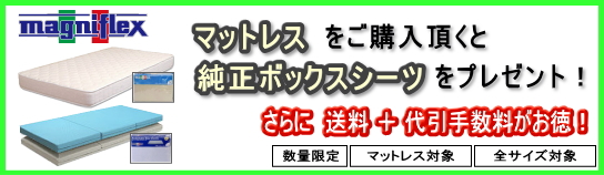 当店オリジナル企画